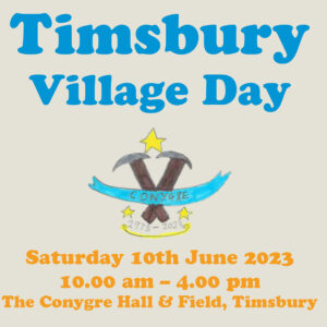 Timsbury Village Day poster